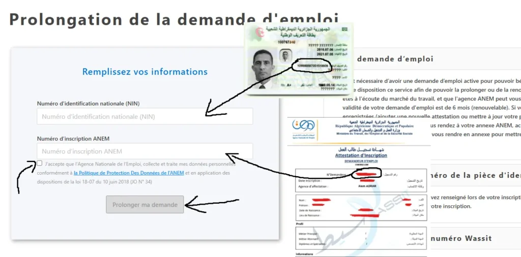 طريقة تجديد شهادة طلب العمل